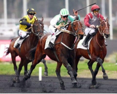 BILIBILI, UN TITRE À DÉFENDRE !