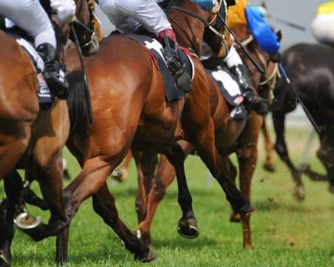 Les résultats du Prix Yves Bachelier