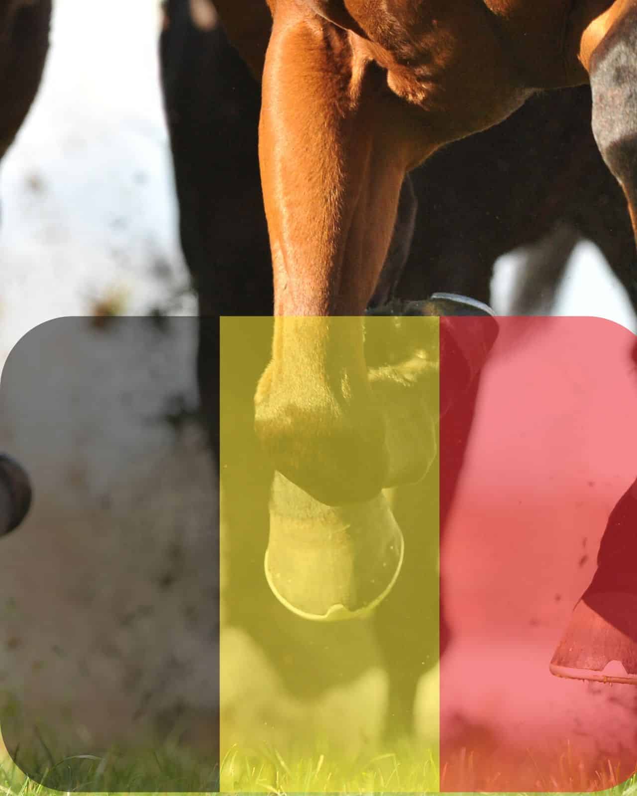 Les résultats du Grand Prix de Belgique 2020