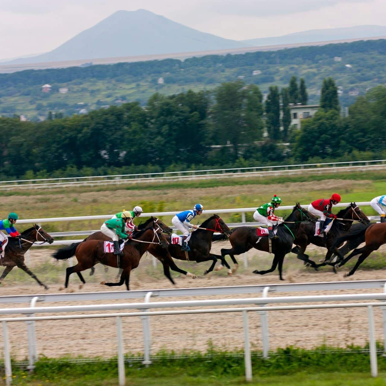 Découvrez les dernières actualités de l’Hippodrome de la Côte d'Azur.