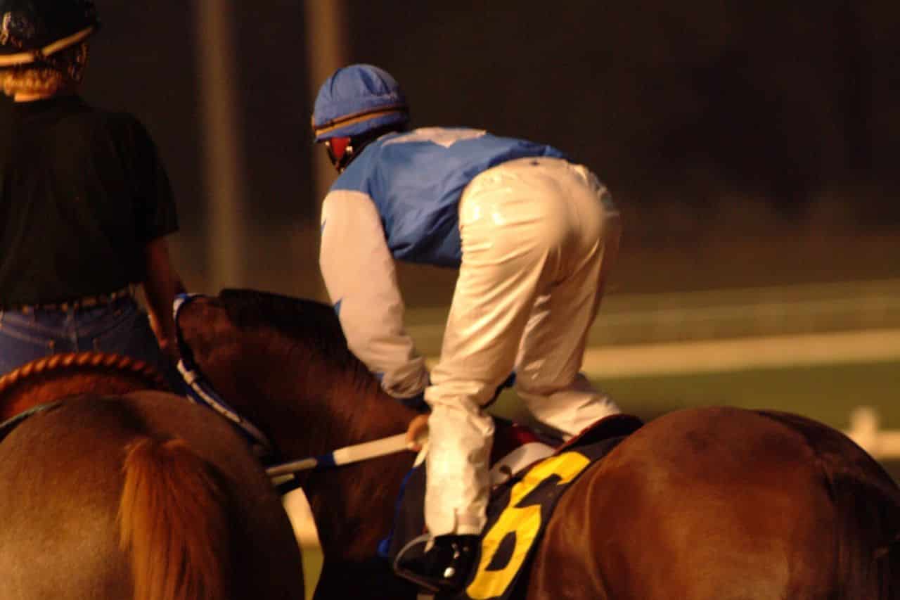 NOTRE AVIS PRIX BERNARD LE QUELLEC 2019