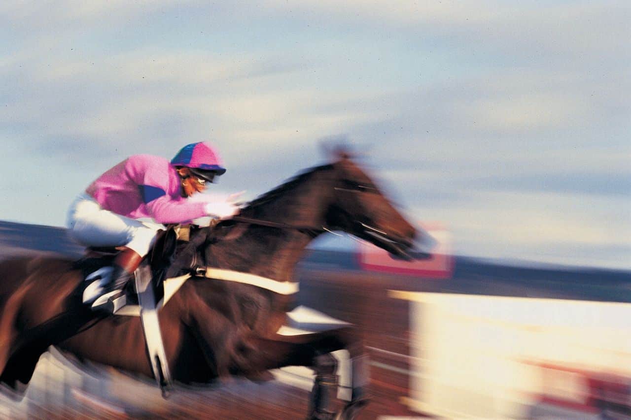 un frère et une sœur en compétition au prix d'Amérique