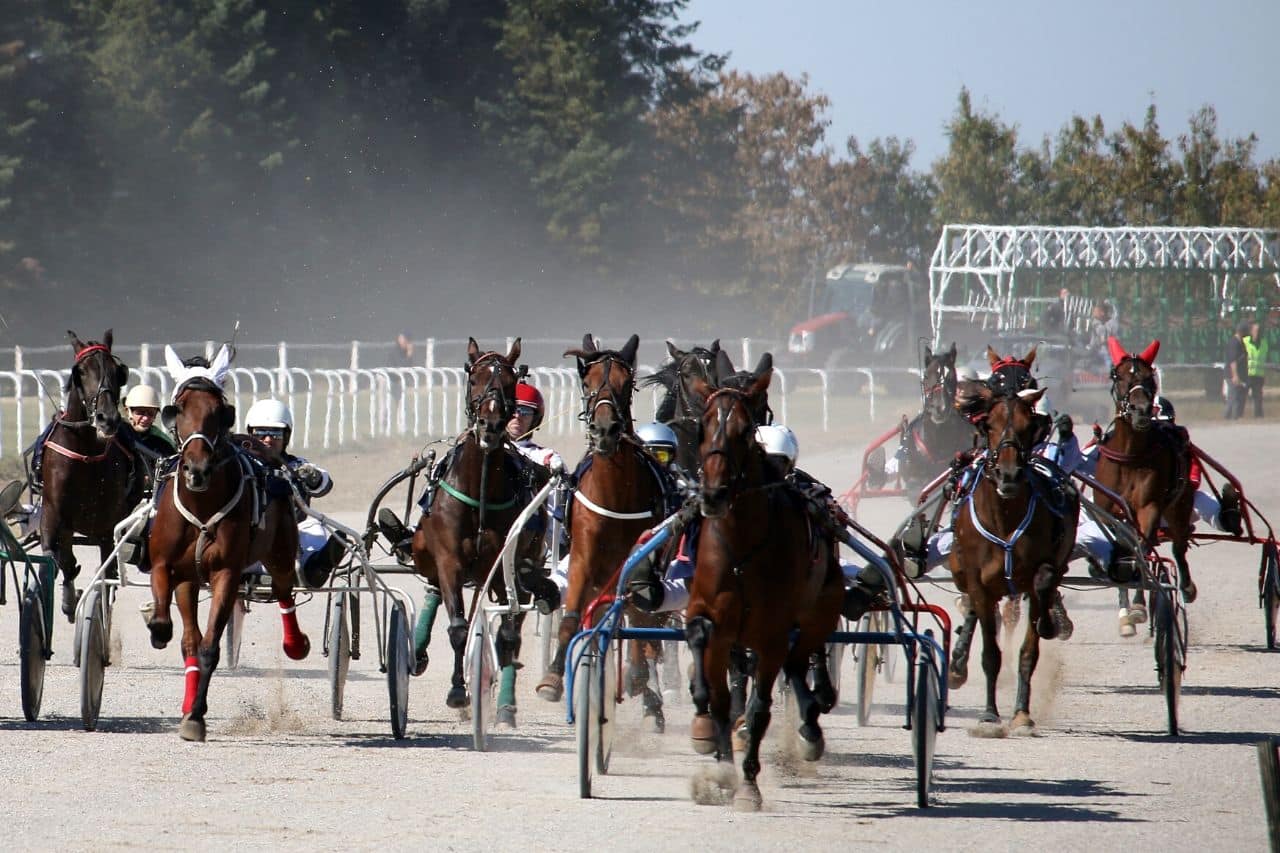 visitez le Domaine de Grosbois !