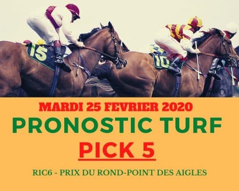 R1C6 - PRIX DU ROND-POINT DES AIGLES