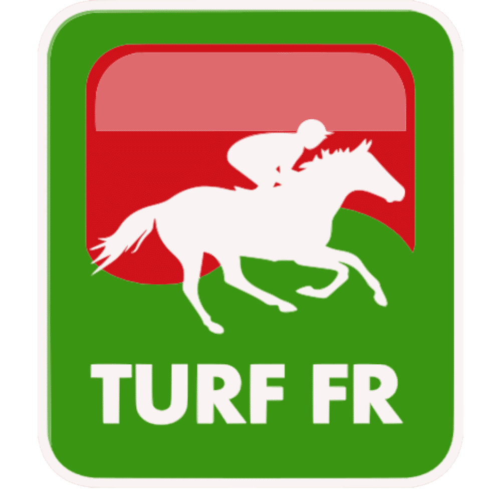 Quint Du Jeudi 17 Juillet 2025 Vichy Pronostics TURF FR