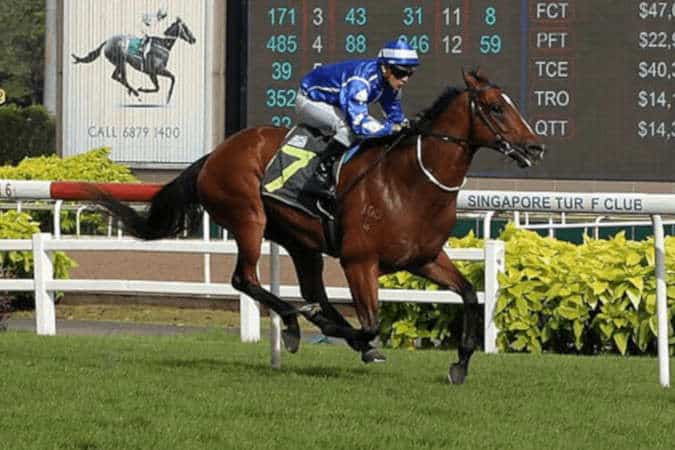 siam warrior 2003 - Quinté