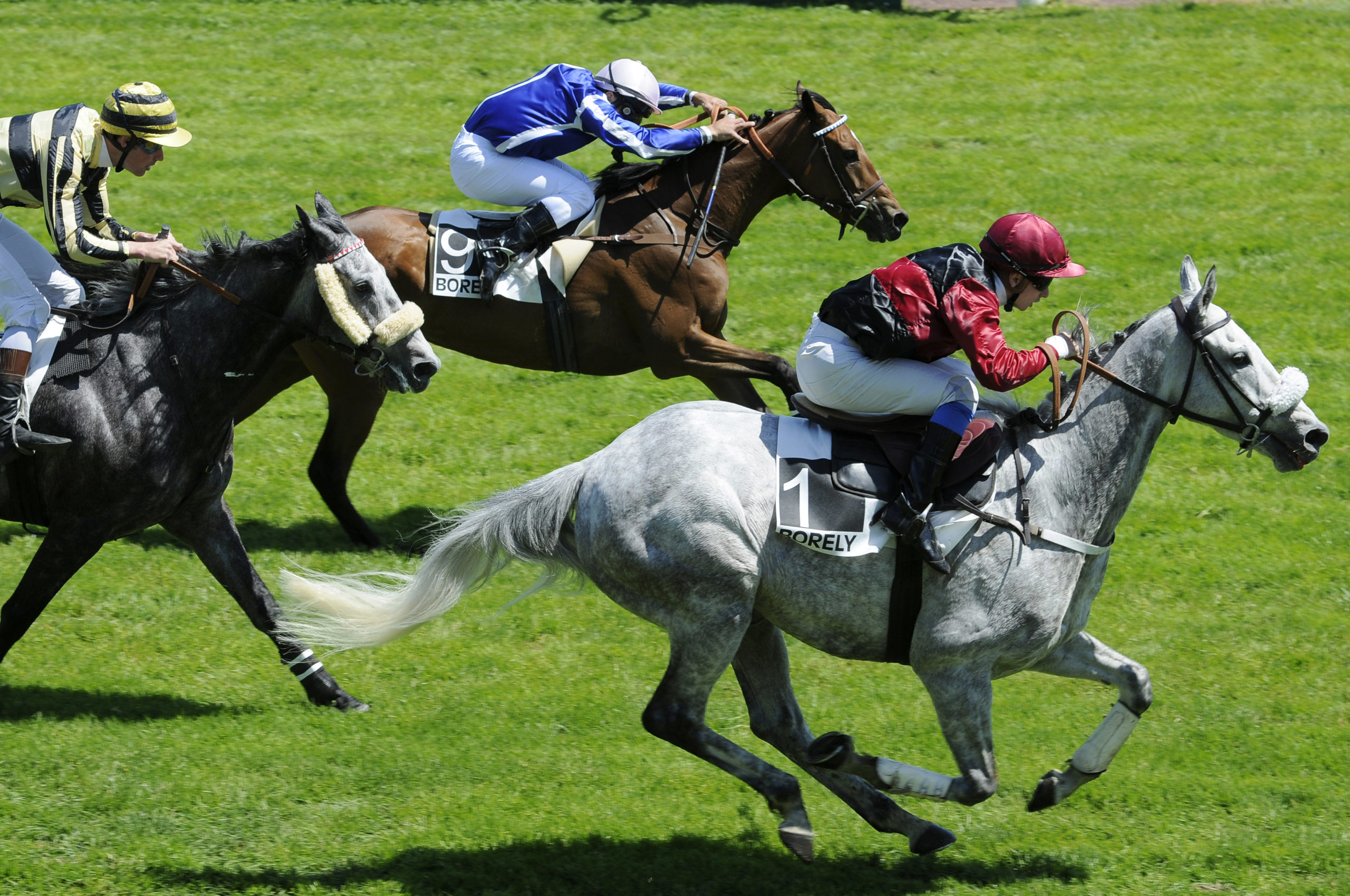 arrivée quinté 241022