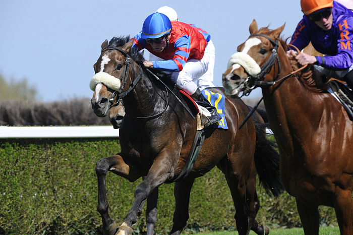 arrivée quinté 2911