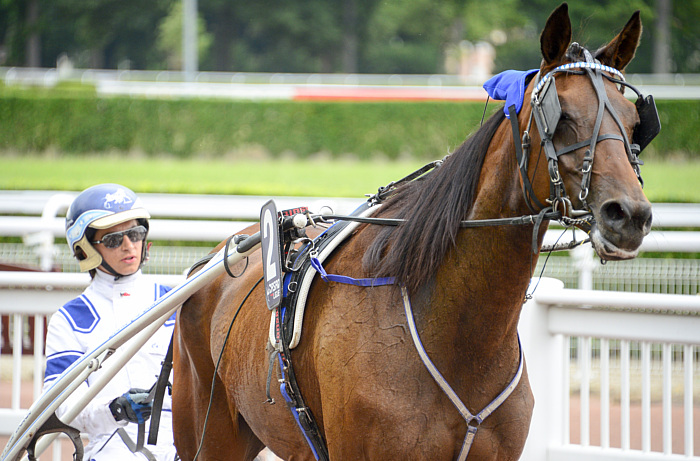 arrivée quinté 2311