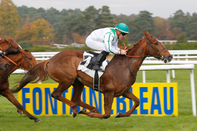 arrivée quinté 0811