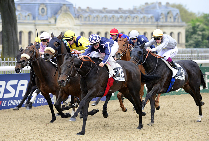 arrivée quinté 1312