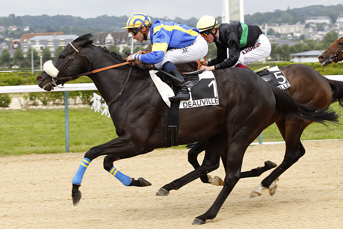 arrivée quinté 1512