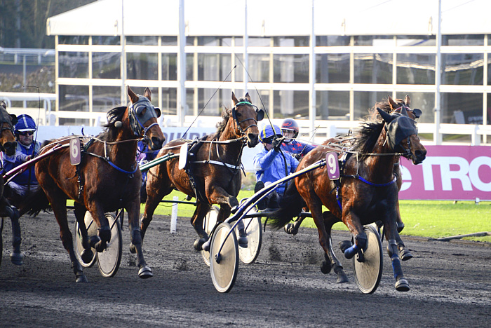 arrivée quinté 0511