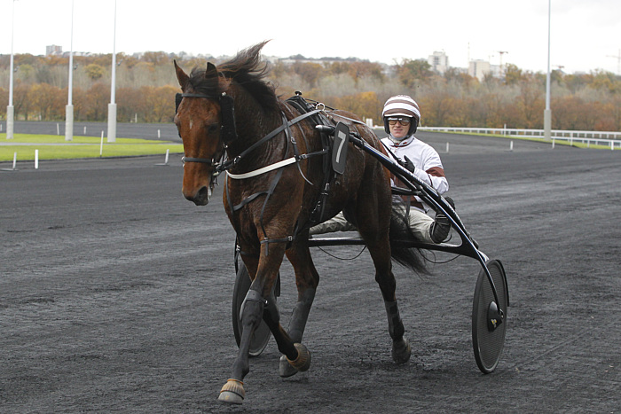 arrivée quinté 1412