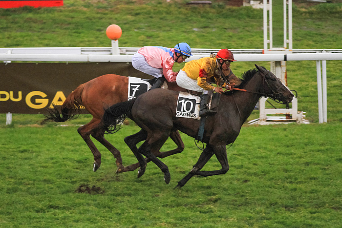 arrivée quinté 2301