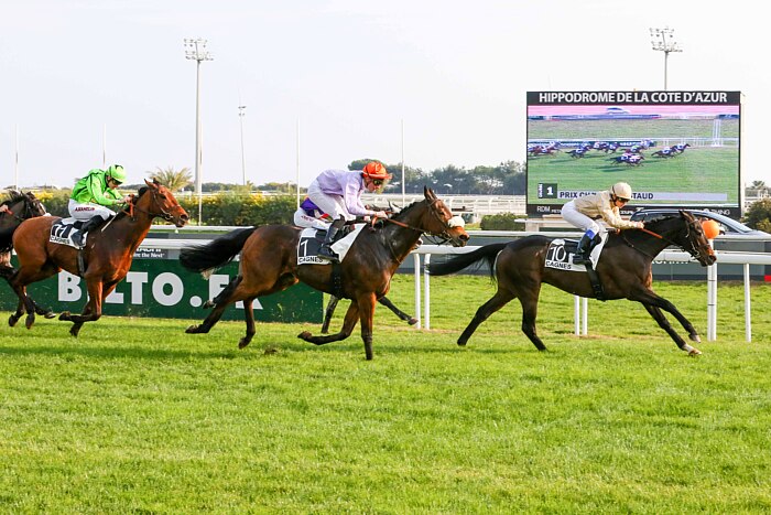 arrivée quinté 1601