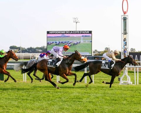 arrivée quinté 3101