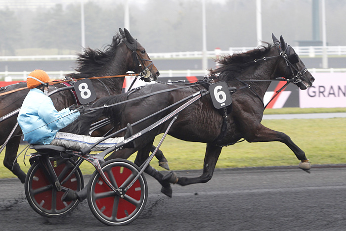 arrivée quinté 0901