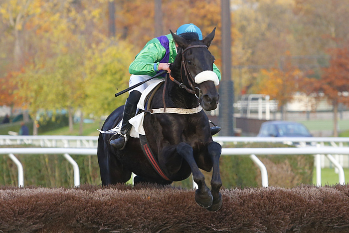 arrivée quinté 1101