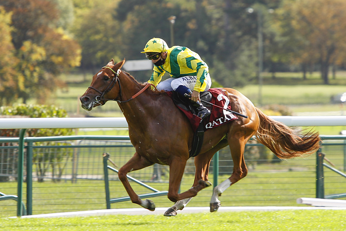 arrivée quinté 1801