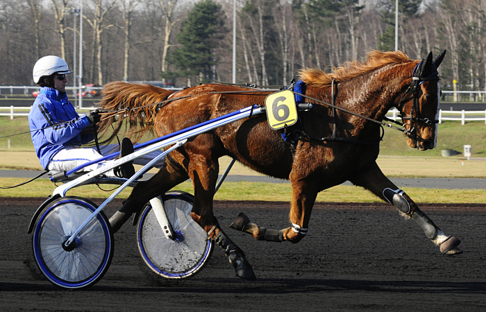 arrivée quinté 210223