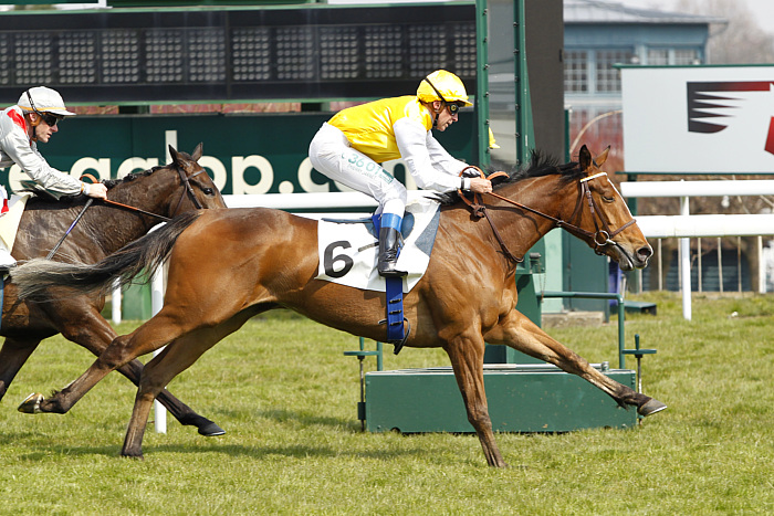 arrivée quinté 2202