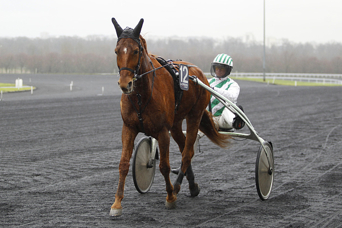 arrivée quinté 0602