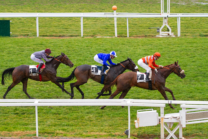 arrivée quinté 2702