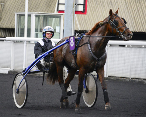arrivée quinté 1302