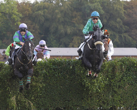 arrivée quinté 0102