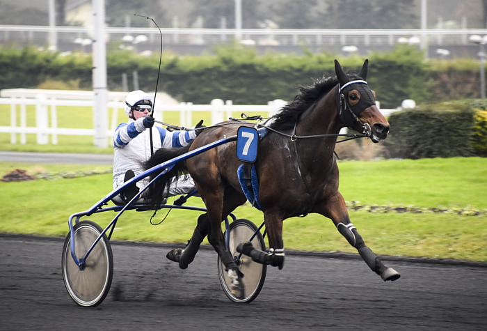 arrivée quinté 2302