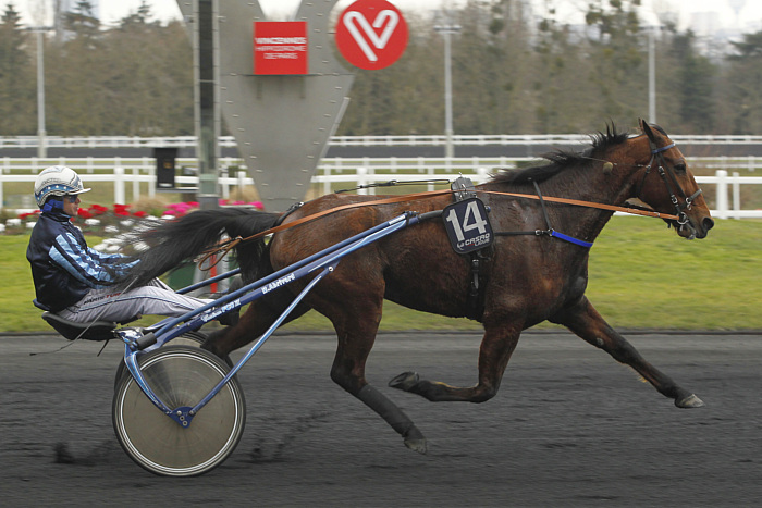 arrivée quinté 0202