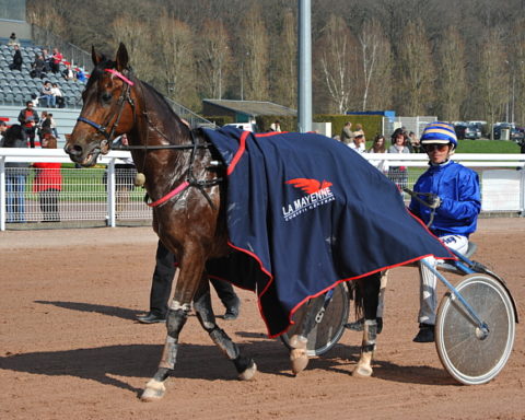 arrivée quinté 1403