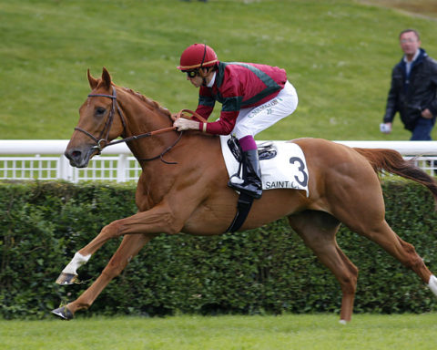 arrivée quinté 2303