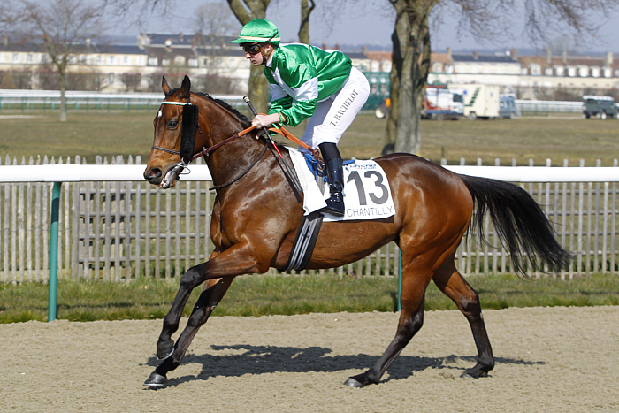 arrivée quinté 0103