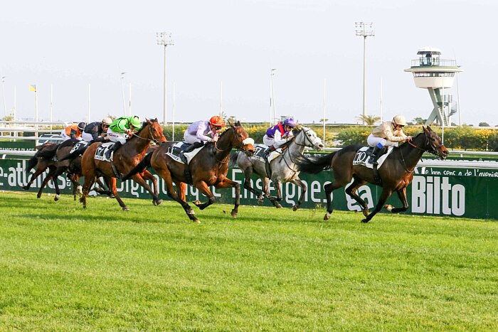 arrivée quinté 080523