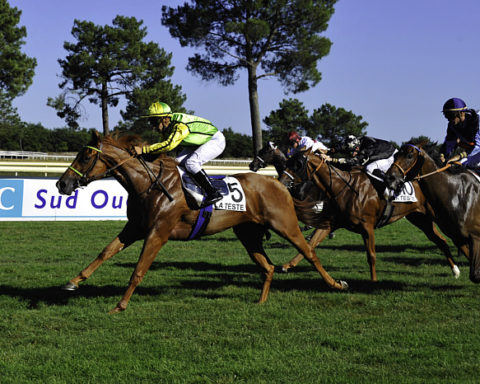 arrivée quinté 220623