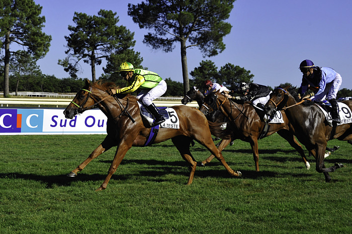 arrivée quinté 220623