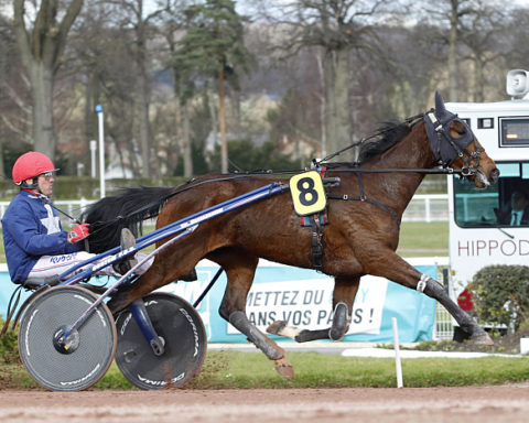 arrivée quinté 210623