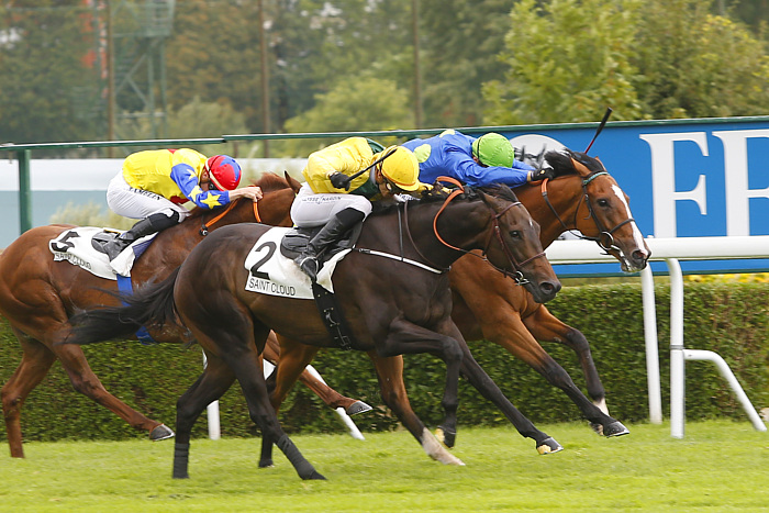 arrivée quinté 060623