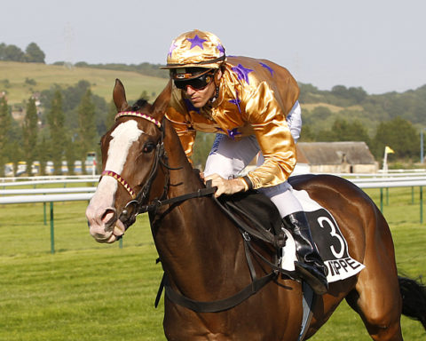 arrivée quinté 310723