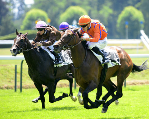 arrivée quinté 200723