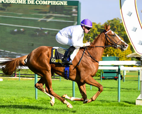 arrivée quinté 240723