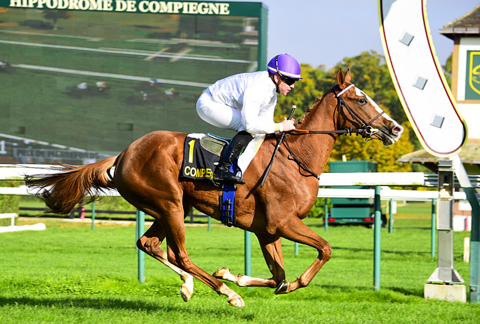 arrivée quinté 240723