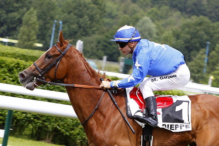 arrivée quinté 250723