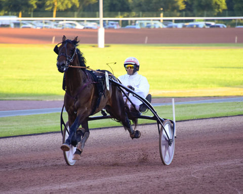 arrivée quinté 170723