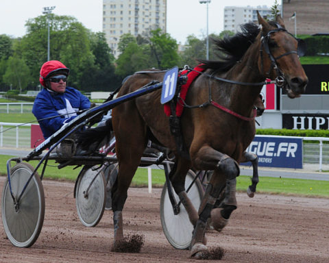 arrivée quinté 090823