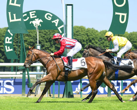 arrivée quinté 300823