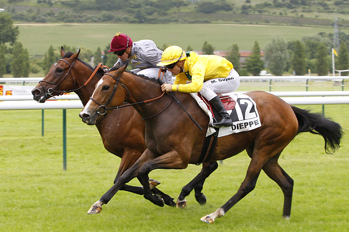 arrivée quinté 290823