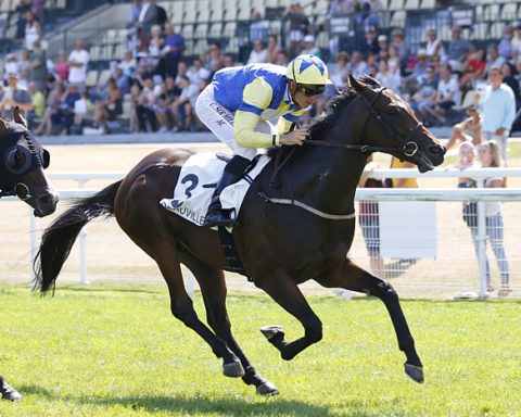 arrivée quinté 030823